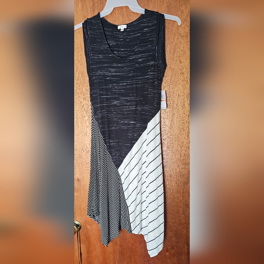 Stylish Black and White Women's Dress